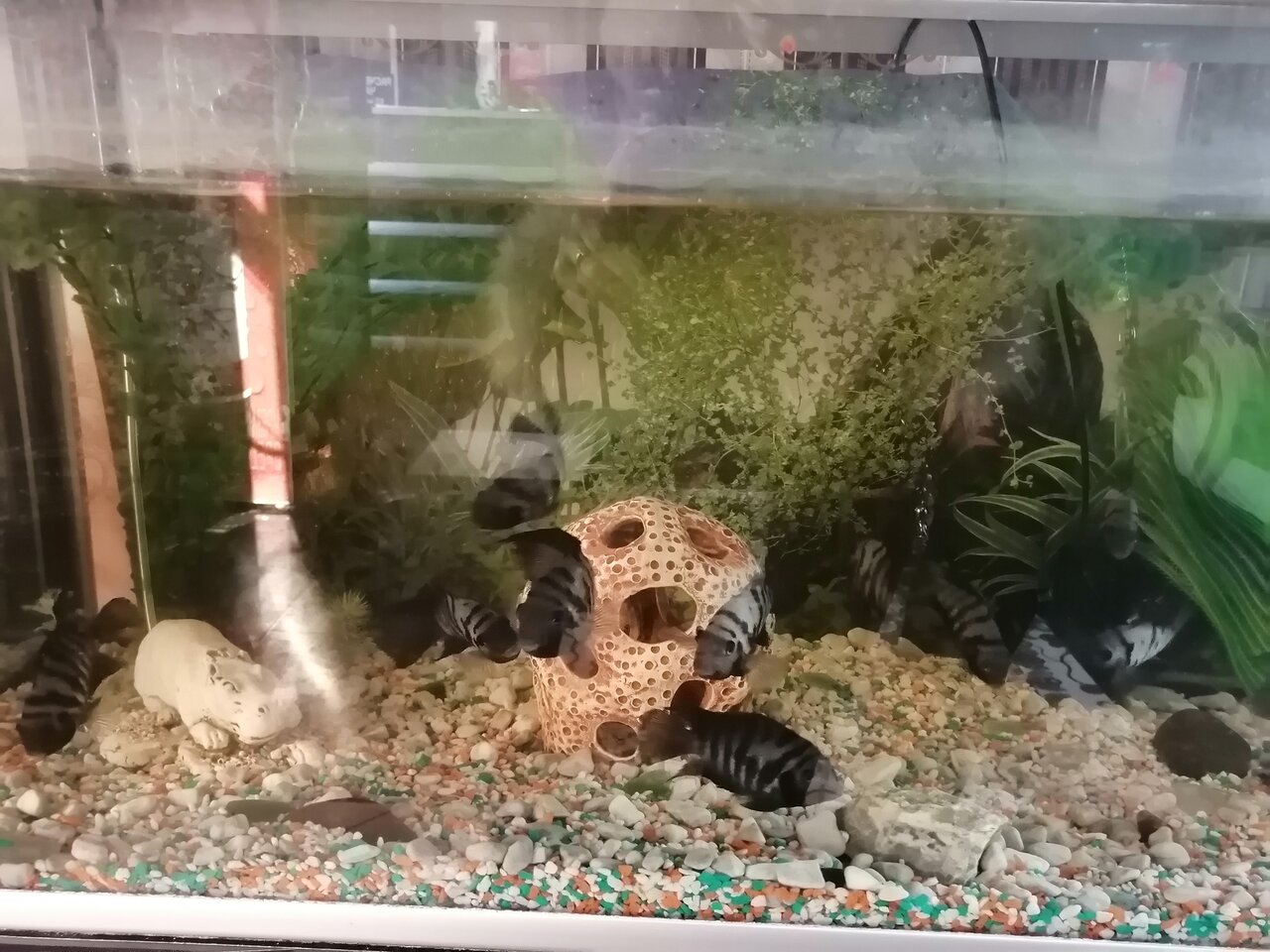 Гостиница Классик Уссурийск-119